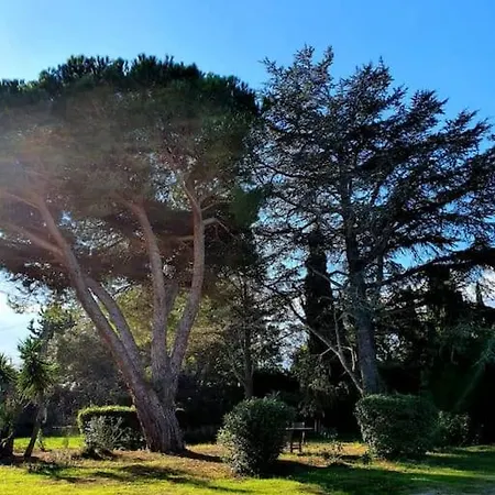 Amahenthe Six-Fours-les-Plages
